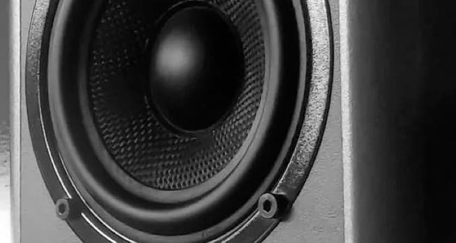 ZX9 Speaker gallery photo 1